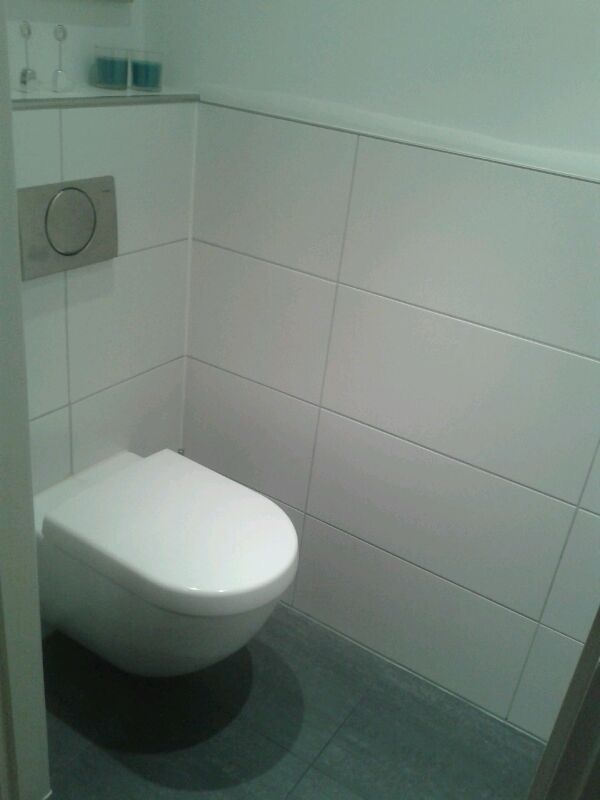 renovatie toilet.JPG